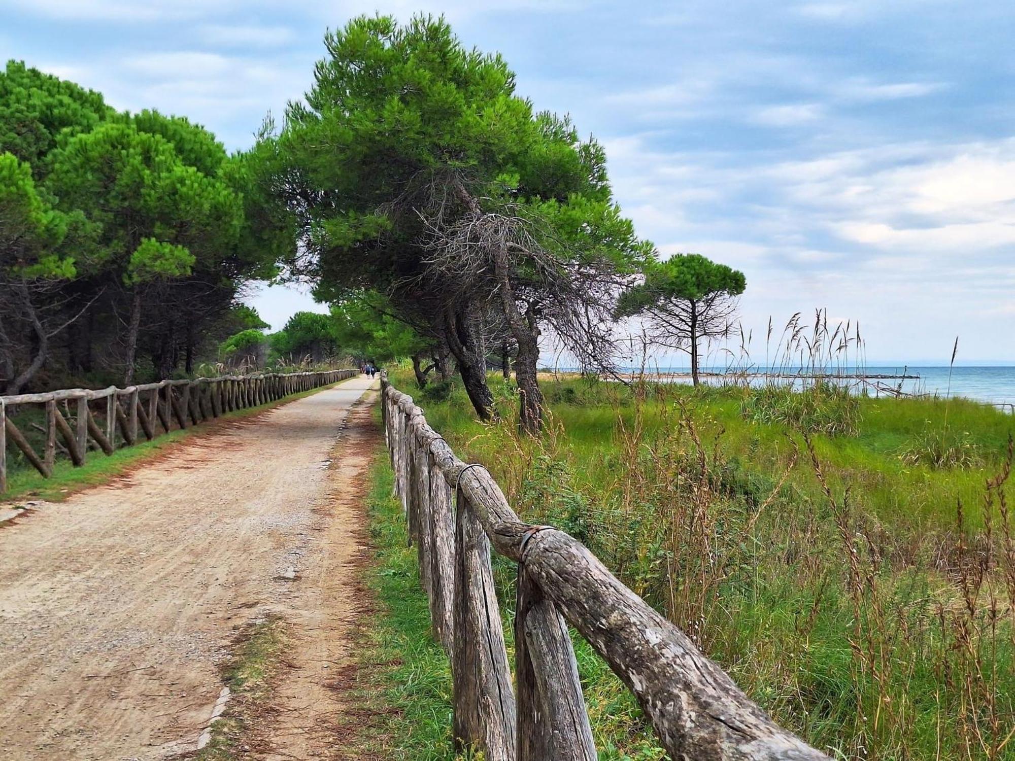 Bright Flat With A Wide Terrace - Beahost Apartment Bibione